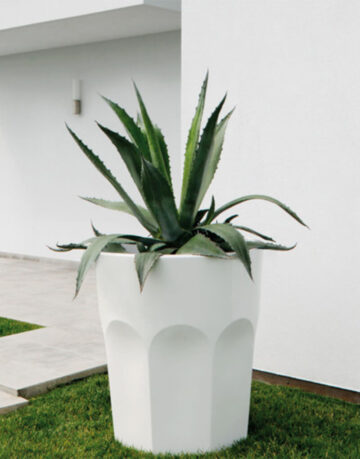 Decor exterior - Dimensiunea sa face ca acest obiect sa fie potrivit pentru decoratiuni de plante medii/mari, sau pentru a deveni punctul de referinta a unui eveniment, devenind un pahar plin cu gheata unde puteti raci sticlele de bauturi.