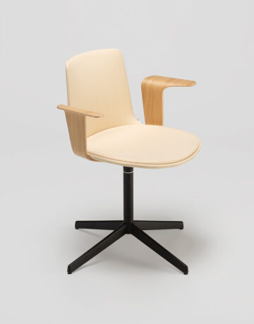 Scaune ergonomice - Lottus confident