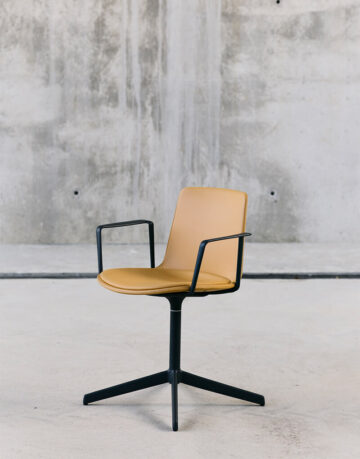 Scaune ergonomice - Lottus confident