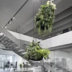 Accesoriu culture - fit out formota