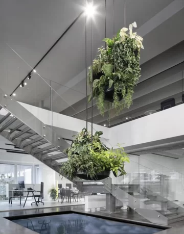 Accesoriu culture - fit out formota