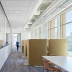 BuzziFree - panouri despartitoare acustice - formota fitout